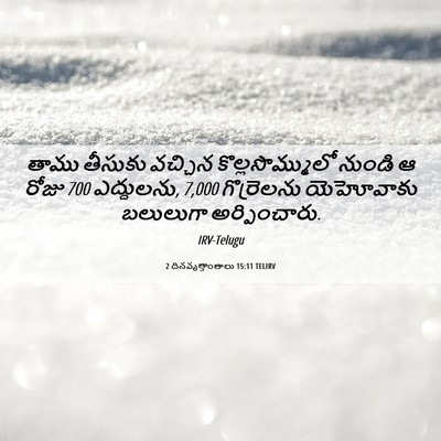 Picture 06 - 2 దినవృత్తాంతాలు 15:11 TELIRV - తాము తీసుకు - Bible Verse Picture