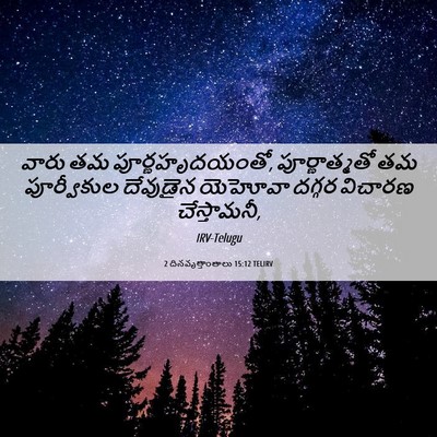 Picture 06 - 2 దినవృత్తాంతాలు 15:12 TELIRV - వారు తమ - Bible Verse Picture