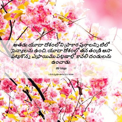 Picture 06 - 2 దినవృత్తాంతాలు 17:2 TELIRV - అతడు యూదా - Bible Verse Picture