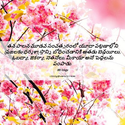 Picture 06 - 2 దినవృత్తాంతాలు 17:7 TELIRV - తన పాలన మూడవ - Bible Verse Picture