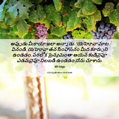 Picture 06 - 2 దినవృత్తాంతాలు 18:18 TELIRV - అప్పుడు మీకాయా - Bible Verse Picture
