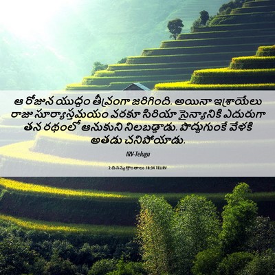 Picture 06 - 2 దినవృత్తాంతాలు 18:34 TELIRV - ఆ రోజున యుద్ధం - Bible Verse Picture
