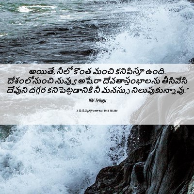 Picture 06 - 2 దినవృత్తాంతాలు 19:3 TELIRV - అయితే, నీలో కొంత - Bible Verse Picture