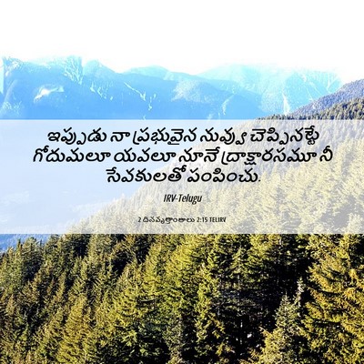 Picture 06 - 2 దినవృత్తాంతాలు 2:15 TELIRV - ఇప్పుడు నా - Bible Verse Picture
