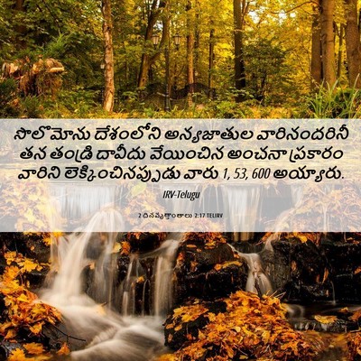 Picture 06 - 2 దినవృత్తాంతాలు 2:17 TELIRV - సొలొమోను దేశంలోని - Bible Verse Picture