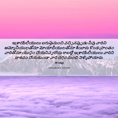 Picture 06 - 2 దినవృత్తాంతాలు 20:10 TELIRV - ఇశ్రాయేలీయులు - Bible Verse Picture