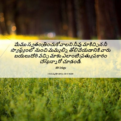 Picture 06 - 2 దినవృత్తాంతాలు 20:11 TELIRV - మేము - Bible Verse Picture