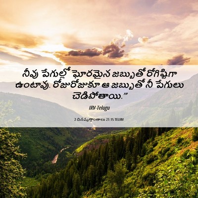 Picture 06 - 2 దినవృత్తాంతాలు 21:15 TELIRV - నీవు పేగుల్లో - Bible Verse Picture
