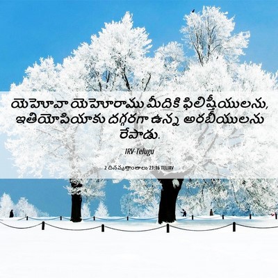Picture 06 - 2 దినవృత్తాంతాలు 21:16 TELIRV - యెహోవా యెహోరాము - Bible Verse Picture