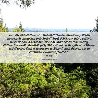 Picture 06 - 2 దినవృత్తాంతాలు 22:11 TELIRV - అయితే రాజైన - Bible Verse Picture