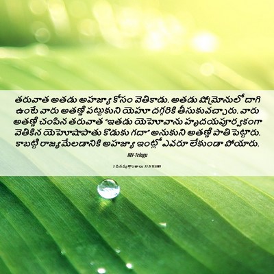 Picture 06 - 2 దినవృత్తాంతాలు 22:9 TELIRV - తరువాత అతడు - Bible Verse Picture