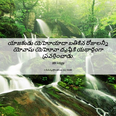 Picture 06 - 2 దినవృత్తాంతాలు 24:2 TELIRV - యాజకుడు యెహోయాదా - Bible Verse Picture