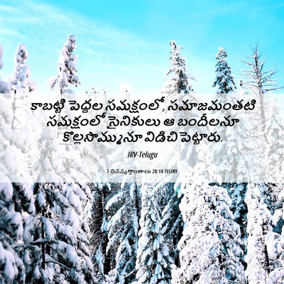 Picture 06 - 2 దినవృత్తాంతాలు 28:14 TELIRV - కాబట్టి పెద్దల - Bible Verse Picture