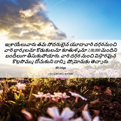 Picture 06 - 2 దినవృత్తాంతాలు 28:8 TELIRV - ఇశ్రాయేలువారు తమ - Bible Verse Picture