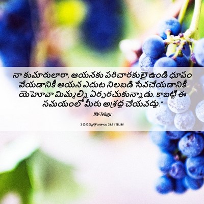 Picture 06 - 2 దినవృత్తాంతాలు 29:11 TELIRV - నా కుమారులారా, - Bible Verse Picture