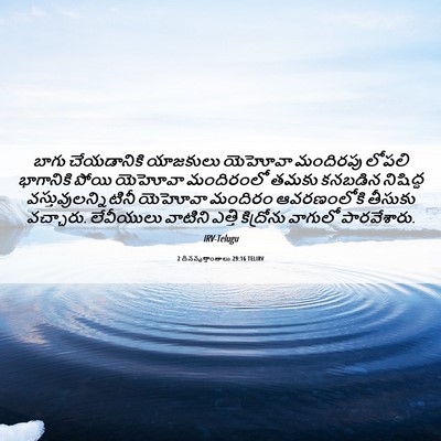 Picture 06 - 2 దినవృత్తాంతాలు 29:16 TELIRV - బాగు చేయడానికి - Bible Verse Picture