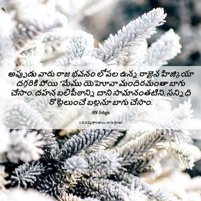 Picture 06 - 2 దినవృత్తాంతాలు 29:18 TELIRV - అప్పుడు వారు రాజ - Bible Verse Picture