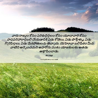 Picture 06 - 2 దినవృత్తాంతాలు 29:21 TELIRV - వారు రాజ్యం కోసం - Bible Verse Picture