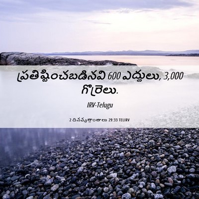 Picture 06 - 2 దినవృత్తాంతాలు 29:33 TELIRV -  - Bible Verse Picture