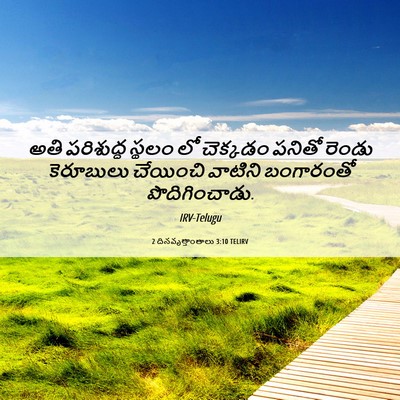 Picture 06 - 2 దినవృత్తాంతాలు 3:10 TELIRV - అతి పరిశుద్ధ - Bible Verse Picture