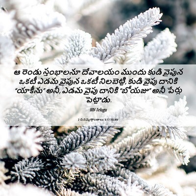 Picture 06 - 2 దినవృత్తాంతాలు 3:17 TELIRV - ఆ రెండు స్తంభాలనూ - Bible Verse Picture