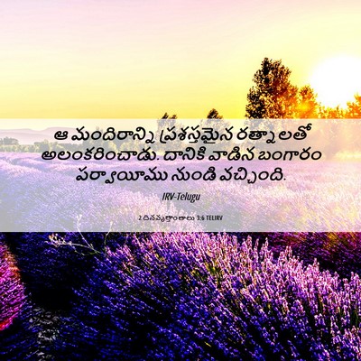 Picture 06 - 2 దినవృత్తాంతాలు 3:6 TELIRV - ఆ మందిరాన్ని - Bible Verse Picture