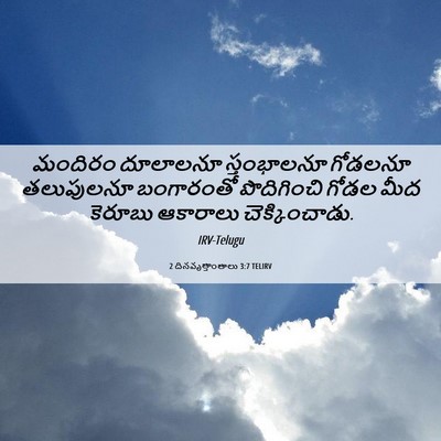 Picture 06 - 2 దినవృత్తాంతాలు 3:7 TELIRV - మందిరం దూలాలనూ - Bible Verse Picture