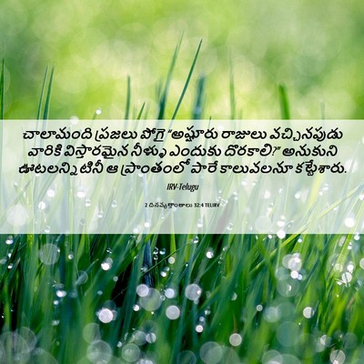 Picture 06 - 2 దినవృత్తాంతాలు 32:4 TELIRV - చాలామంది ప్రజలు - Bible Verse Picture