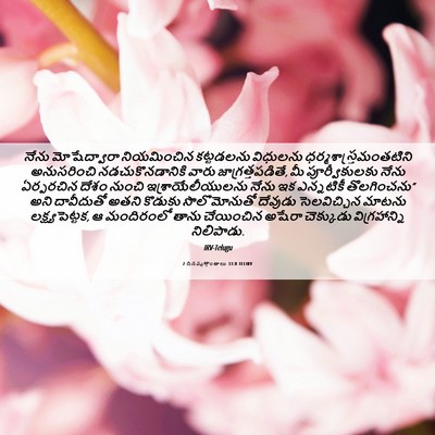 Picture 06 - 2 దినవృత్తాంతాలు 33:8 TELIRV - నేను మోషేద్వారా - Bible Verse Picture