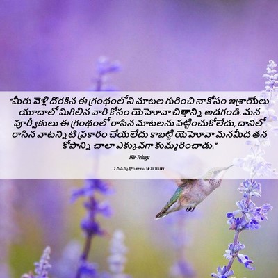 Picture 06 - 2 దినవృత్తాంతాలు 34:21 TELIRV - “మీరు వెళ్లి - Bible Verse Picture