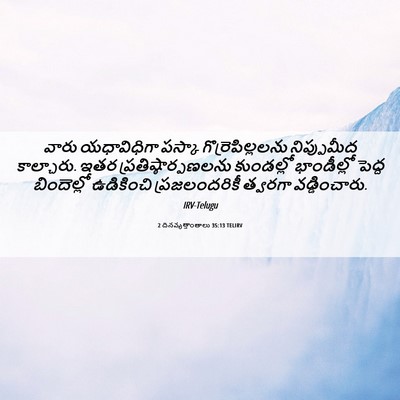 Picture 06 - 2 దినవృత్తాంతాలు 35:13 TELIRV - వారు యధావిధిగా - Bible Verse Picture