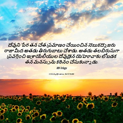 Picture 06 - 2 దినవృత్తాంతాలు 36:13 TELIRV - దేవుని పేర తన చేత - Bible Verse Picture