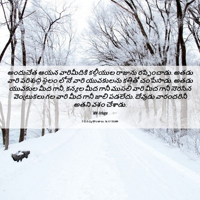 Picture 06 - 2 దినవృత్తాంతాలు 36:17 TELIRV - అందుచేత ఆయన - Bible Verse Picture