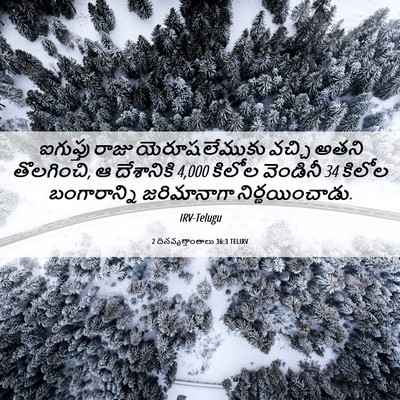 Picture 06 - 2 దినవృత్తాంతాలు 36:3 TELIRV - ఐగుప్తు రాజు - Bible Verse Picture