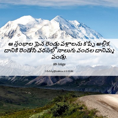 Picture 06 - 2 దినవృత్తాంతాలు 4:13 TELIRV - ఆ స్తంభాల పైన - Bible Verse Picture