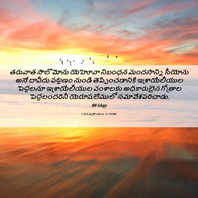 Picture 06 - 2 దినవృత్తాంతాలు 5:2 TELIRV - తరువాత సొలొమోను - Bible Verse Picture