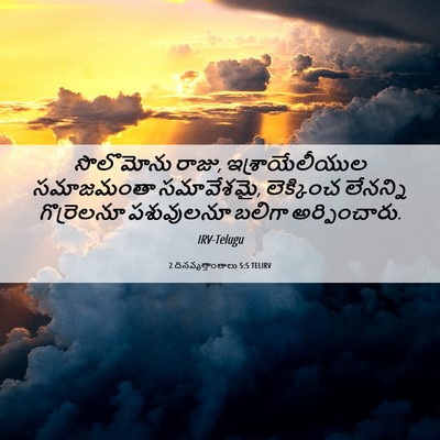 Picture 06 - 2 దినవృత్తాంతాలు 5:5 TELIRV - సొలొమోను రాజు, - Bible Verse Picture