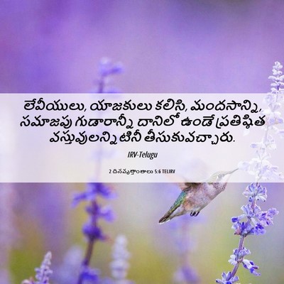 Picture 06 - 2 దినవృత్తాంతాలు 5:6 TELIRV - లేవీయులు, యాజకులు - Bible Verse Picture