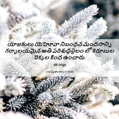 Picture 06 - 2 దినవృత్తాంతాలు 5:7 TELIRV - యాజకులు యెహోవా - Bible Verse Picture