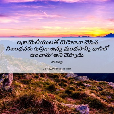 Picture 06 - 2 దినవృత్తాంతాలు 6:11 TELIRV - ఇశ్రాయేలీయులతో - Bible Verse Picture