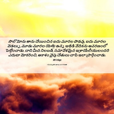 Picture 06 - 2 దినవృత్తాంతాలు 6:13 TELIRV - సొలొమోను తాను - Bible Verse Picture