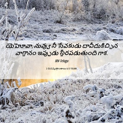 Picture 06 - 2 దినవృత్తాంతాలు 6:17 TELIRV - యెహోవా, నువ్వు నీ - Bible Verse Picture