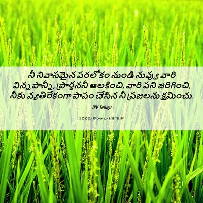 Picture 06 - 2 దినవృత్తాంతాలు 6:39 TELIRV - నీ నివాసమైన - Bible Verse Picture