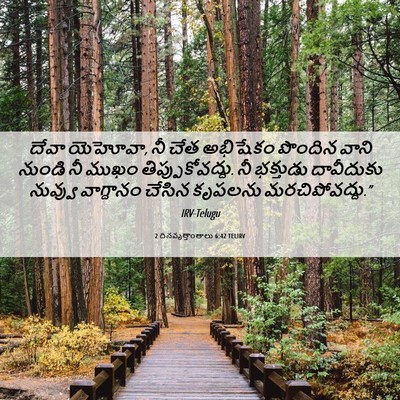 Picture 06 - 2 దినవృత్తాంతాలు 6:42 TELIRV - దేవా యెహోవా, నీ చేత - Bible Verse Picture