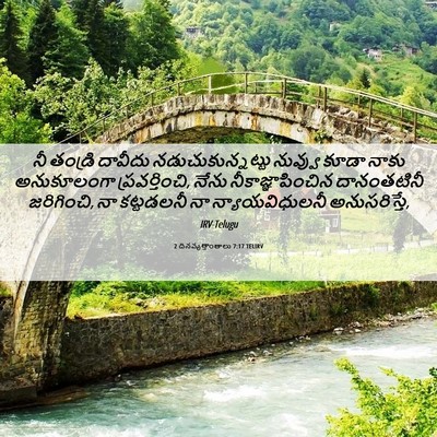Picture 06 - 2 దినవృత్తాంతాలు 7:17 TELIRV - నీ తండ్రి దావీదు - Bible Verse Picture