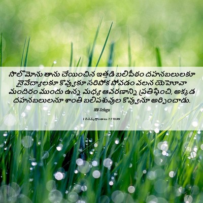 Picture 06 - 2 దినవృత్తాంతాలు 7:7 TELIRV - సొలొమోను తాను - Bible Verse Picture