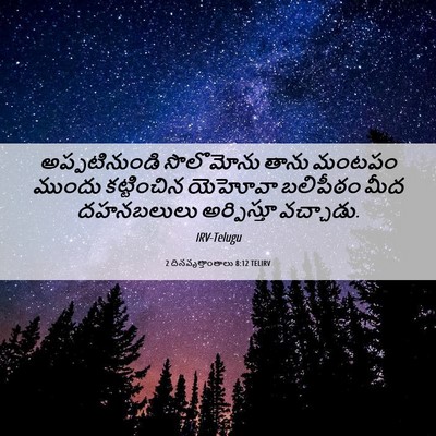 Picture 06 - 2 దినవృత్తాంతాలు 8:12 TELIRV - అప్పటినుండి - Bible Verse Picture