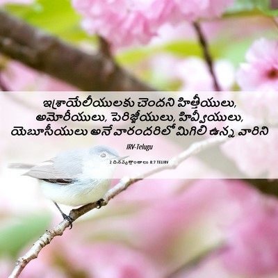 Picture 06 - 2 దినవృత్తాంతాలు 8:7 TELIRV - ఇశ్రాయేలీయులకు - Bible Verse Picture