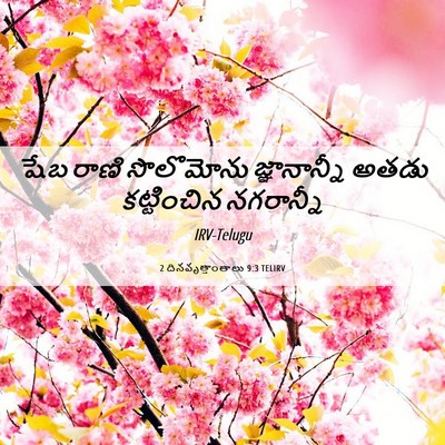 Picture 06 - 2 దినవృత్తాంతాలు 9:3 TELIRV - షేబ రాణి సొలొమోను - Bible Verse Picture