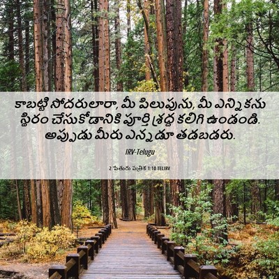 Picture 06 - 2 పేతురు పత్రిక 1:10 TELIRV - కాబట్టి - Bible Verse Picture